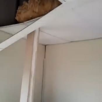 GNC Konteyner Ve Prefabrik Evi Bitirmeden Evi Bırakıp Gittiler...