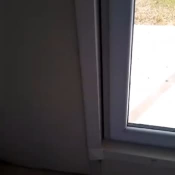 GNC Konteyner Ve Prefabrik Evi Bitirmeden Evi Bırakıp Gittiler...