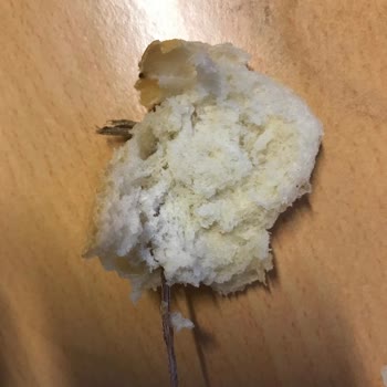 Çağrı Hipermarket Çağrı Marketten Aldığım Ekmekten Tahta Parçası Çıktı