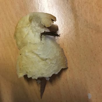 Çağrı Hipermarket Çağrı Marketten Aldığım Ekmekten Tahta Parçası Çıktı