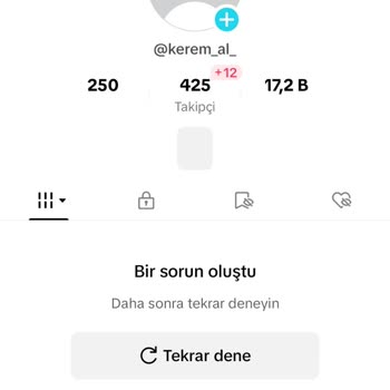 TikTok İnternet Bağlantı Hatası