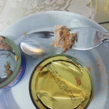 Dardanel Ton Bozulmuş Ürün