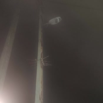 AYEDAŞ Sokak Lambası Şikayet