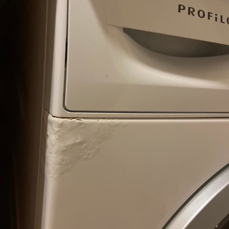 Paslanan Profilo Çamaşır Makinesi