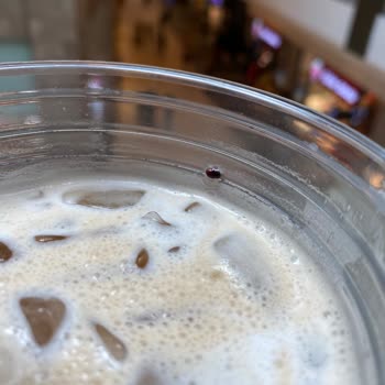 Starbucks Kahvesinden Böcek Yumurtası Çıktı