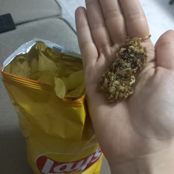 Lays Cipsin İçerisinden Kocaman Ne Olduğu Belli Olmayan Pislik Çıktı