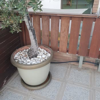 Adin Beach Hotel Müşteri Memnuniyeti Yerine Para Odaklı Yaklaşım
