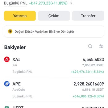 Binance Kendine Gel Artık