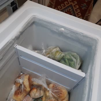 Uğur Derin Dondurucu Karlanma Sorunu
