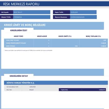 Dünya Varlık Risk Merkezi Raporu