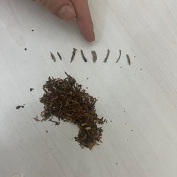 Parliament Sigara Kalitesi Ve İçerik Sorunu