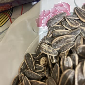 Amigo Çekirdekten Böcek Cıktı