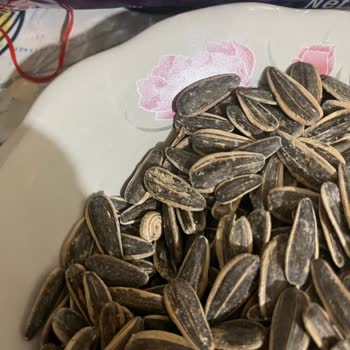 Amigo Çekirdekten Böcek Cıktı