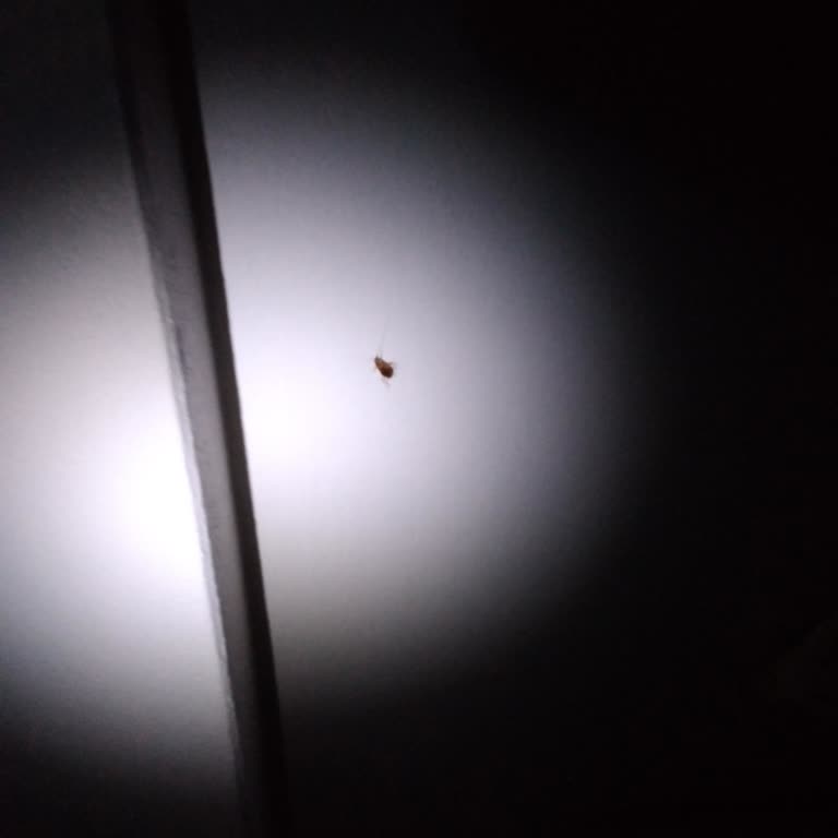 Tarsus Belediyesi İlaçlama Yapılmıyor, Biraz Daha Sorumlu Olun