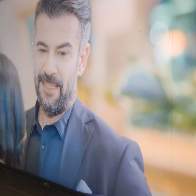 Lines Appear on Vestel Smart 4K Television