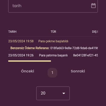 Davegas Çekim İşlemin Hesabıma Yansımadı