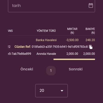 Davegas Çekim İşlemin Hesabıma Yansımadı