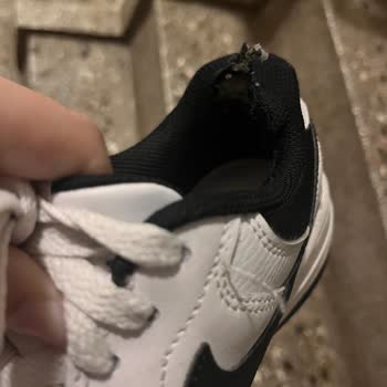 Sneaks Up Yırtılma Ve Koku Sorunu