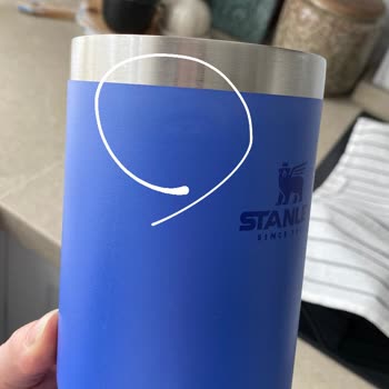 Kutupayısı Bu Ne Şimdi!