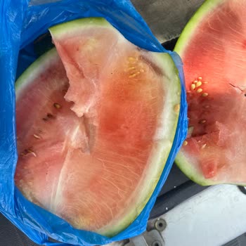 A101 Kusurlu Ürünü İade Almaması