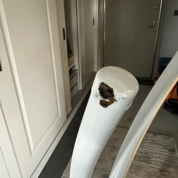 Gazzella Ütü Masası Paslandı!