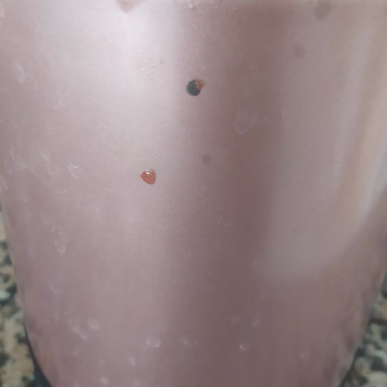 Fakir Çay Makinesi: Garanti Kapsamında Renk Soyulma Sorunu Ve Yetersiz Servis