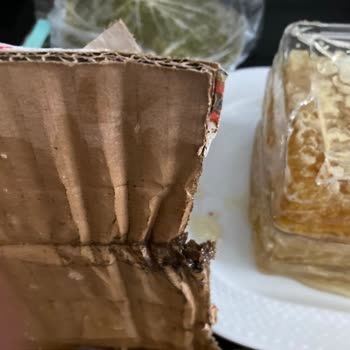 Milas Bal Petek Balı Kabı Kırıklığı