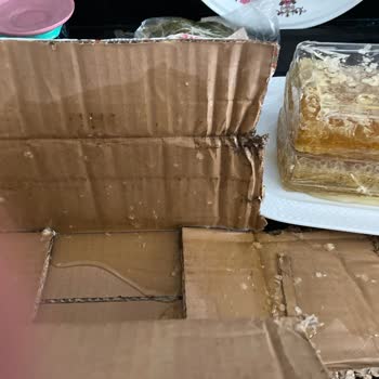 Milas Bal Petek Balı Kabı Kırıklığı