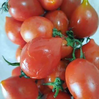 Yemeksepeti Market Ezik Ve Zarar Görmüş Ürünleri İndirimli Satıyor