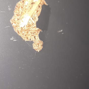 Engince Kalite Ve Garanti Sorunu