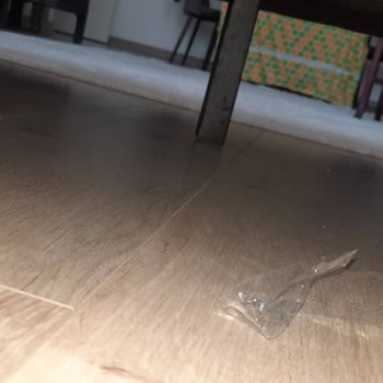 Engince Kalite Ve Garanti Sorunu