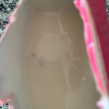 İçim Süt ve Süt Ürünleri İçim Puding İçinden Küf Gibi Yeşil Bir Şeyler Çıktı.