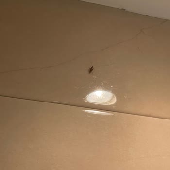 Budva Turu Jolly Tur Şikayet