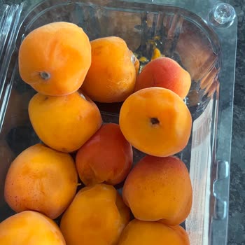 Getir İn Bozuk Ve Çürümüş Ürün Satması Ve Sorumsuzluğu