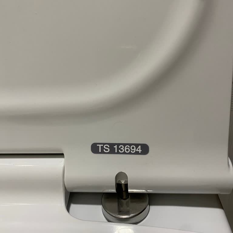 ECA Ts 13694 Klozet Problemi!