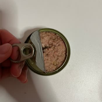 Kalite Tonla Dardanel Fp Ürünü Bozuk