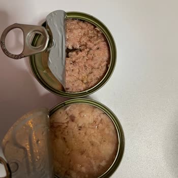 Kalite Tonla Dardanel Fp Ürünü Bozuk