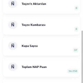 Napolyon.com Napolyon Anket Şirketi Paramı Yüklemiyor