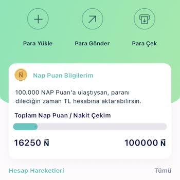 Napolyon.com Napolyon Anket Şirketi Paramı Yüklemiyor