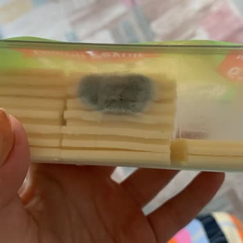 Pınar Et ve Süt Ürünlerin STT'den Önce Bozulma Problemi