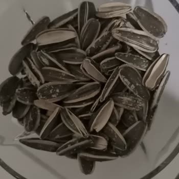 Çerezya Kuruyemiş Kalitesiz Ürün