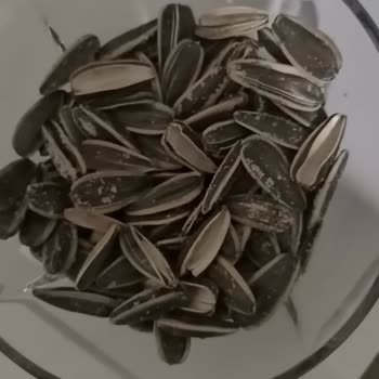 Çerezya Kuruyemiş Kalitesiz Ürün