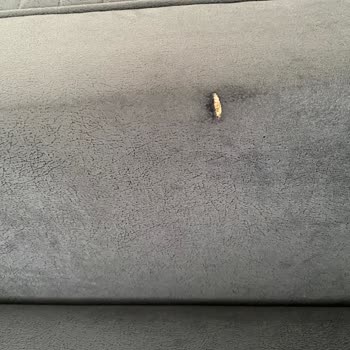 Bellona Dan Aldığımız Koltuk Yırtık Ve Yamalı Çıktı