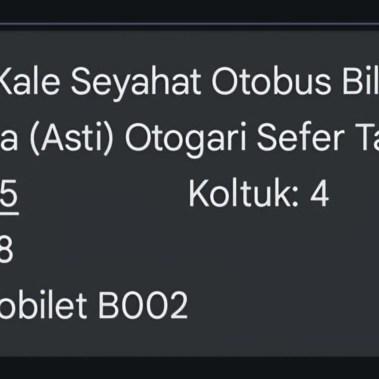 Kale Seyahat Yolcu Almadan Hareket Etti