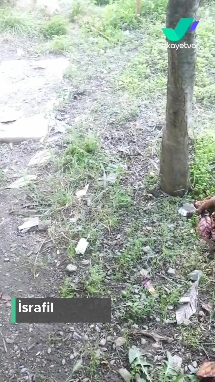 Yeni As Bayburt Turizm Anneme Aldığım 35 No Yerine 37 No Koltuğu Vermişler! videonun kapak resmi