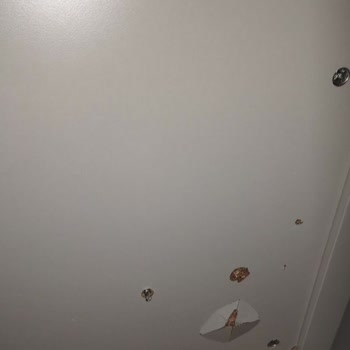 Kelebek Mobilya'da Hayal Kırıklığı: Teslimat Ve Kalite Sorunları