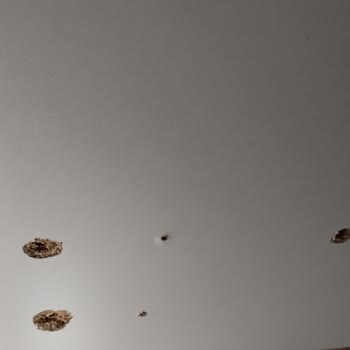 Kelebek Mobilya'da Hayal Kırıklığı: Teslimat Ve Kalite Sorunları