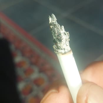 Philip Morris Sigara İçinden Çıkan Yabancı Maddeler