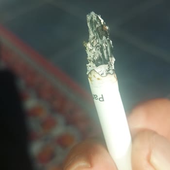 Philip Morris Sigara İçinden Çıkan Yabancı Maddeler