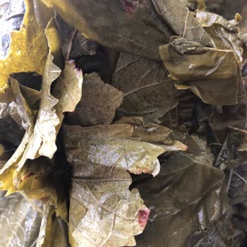 Yasmin Doğal (ege_salamur_) Bayram İçin Sipariş Edilen Ürünün Kalitesi Hakkında Şikayet